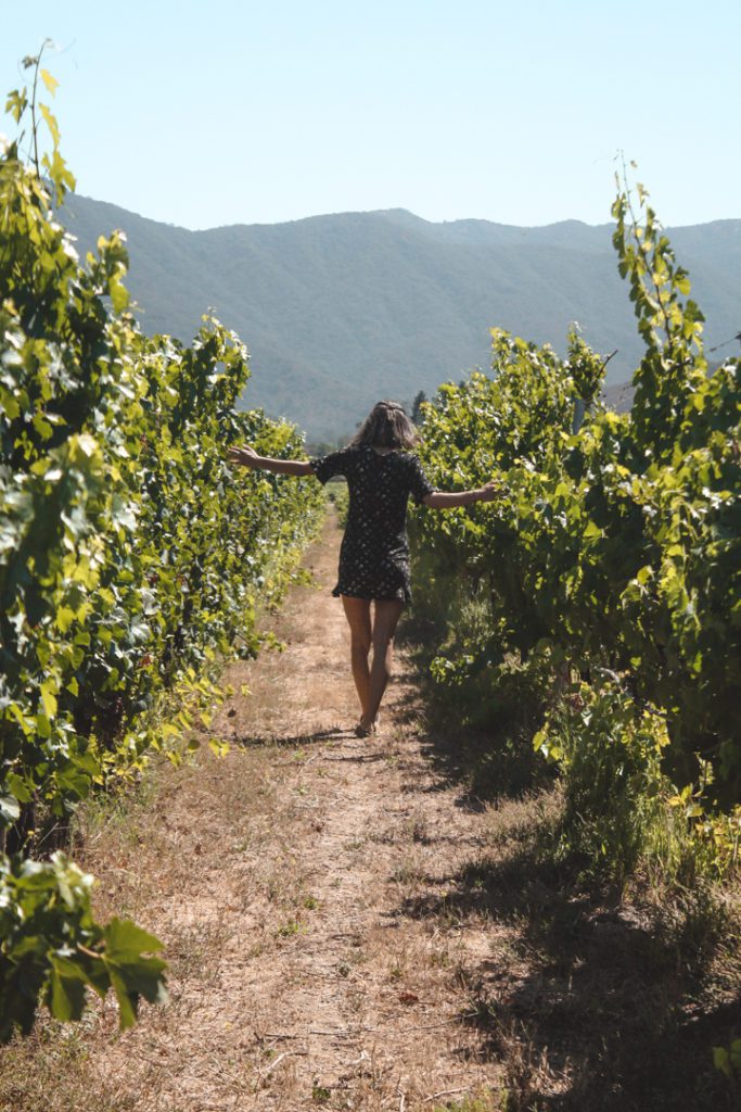 Woman walking among the vines