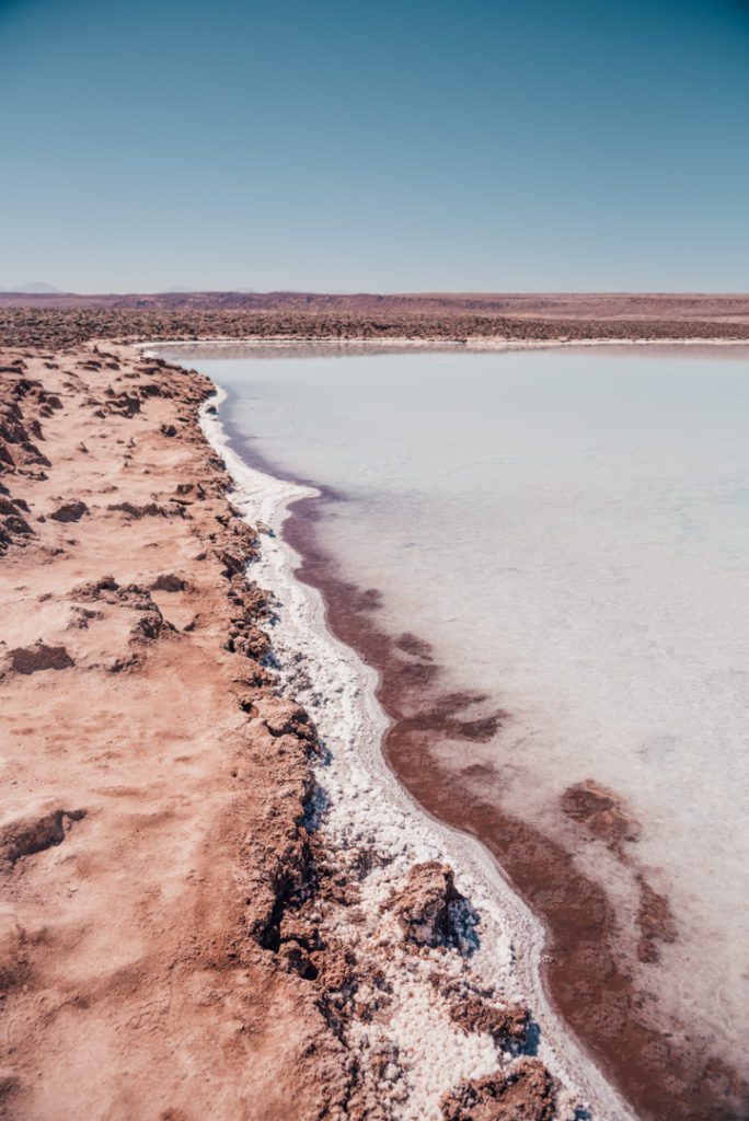Lagunas Baltinache, Atacama Desert Chile
