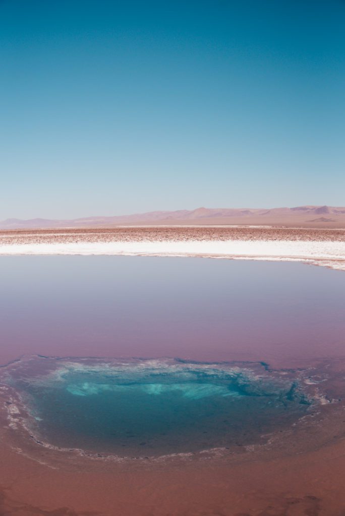 Lagunas Baltinache, Atacama Desert Chile