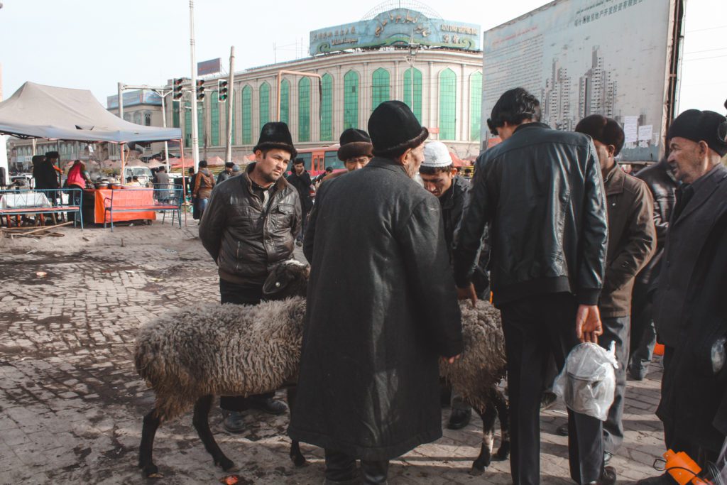 Men in Xinjiang China at a sheep market