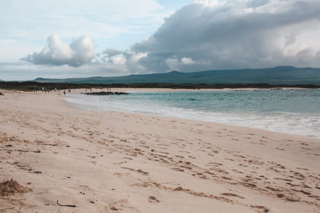 Galapagos island beach