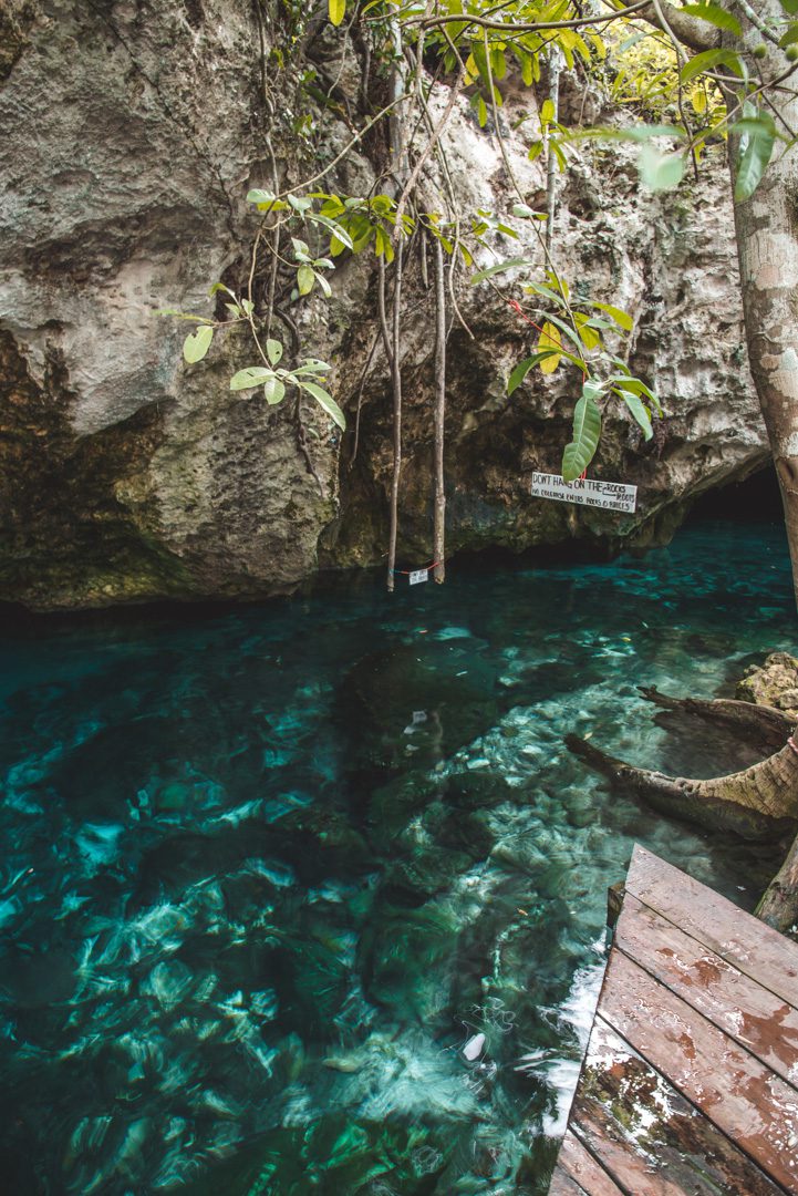 17 Best Cenotes In Tulum, Mexico You Must Visit (2024)