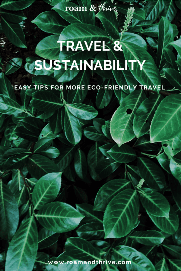 7 Easy Sustainable Travel Tips For Your Next Trip