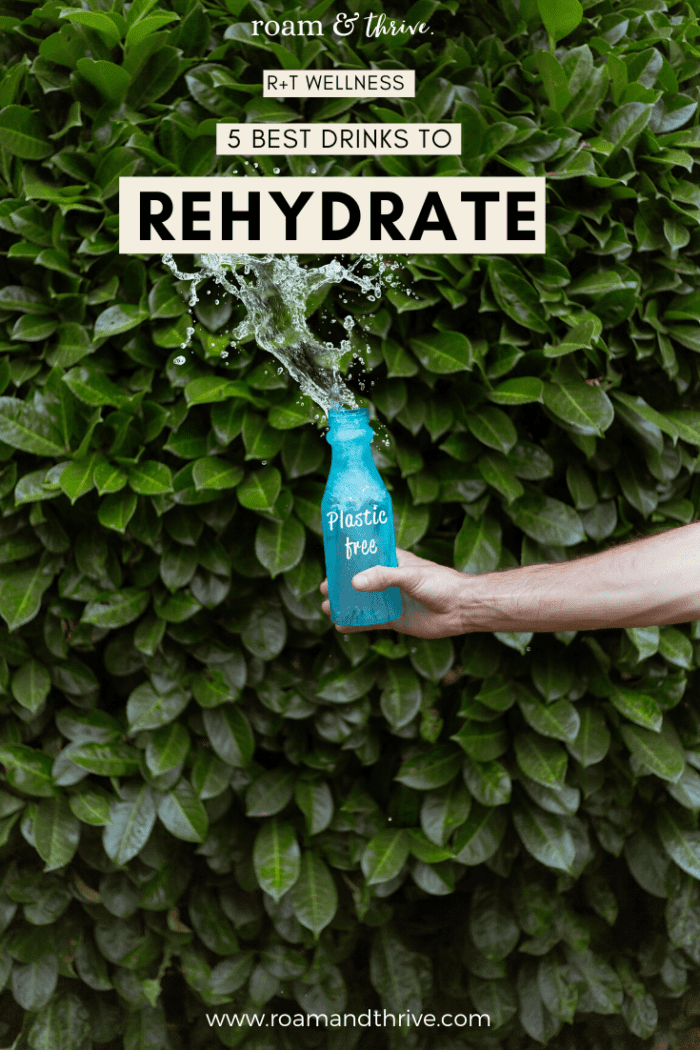 The Best Way to Rehydrate 5 Healthy Drinks