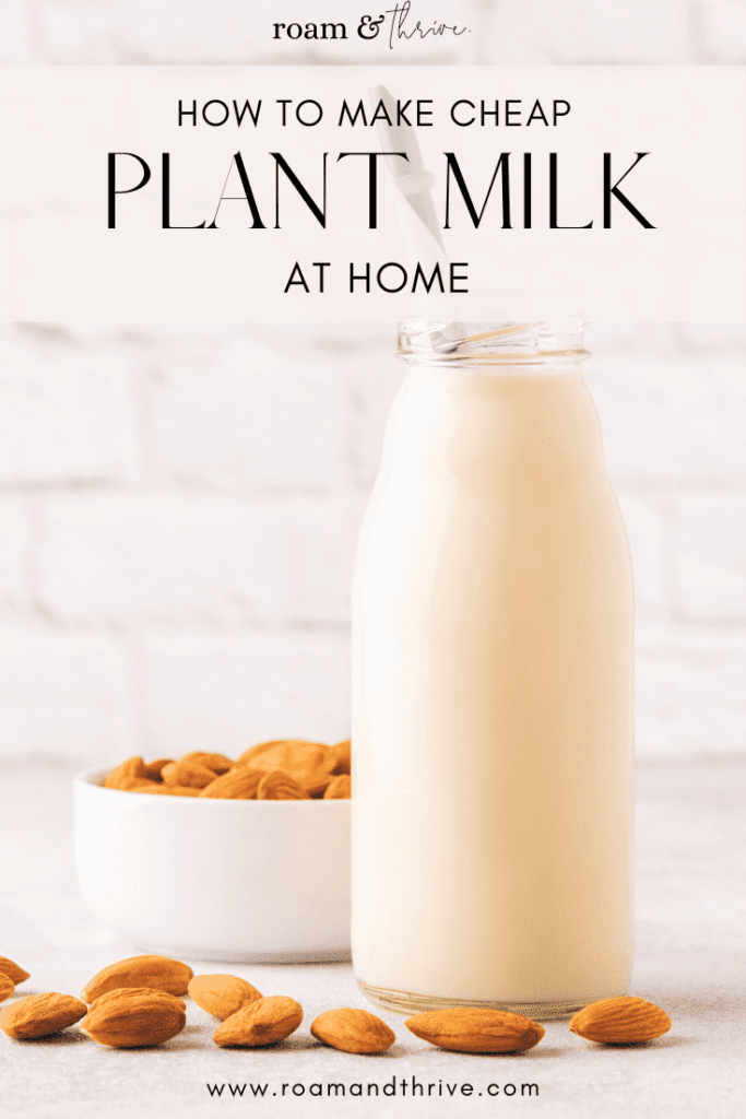 How to make Cheap Plant Milk at Home pin