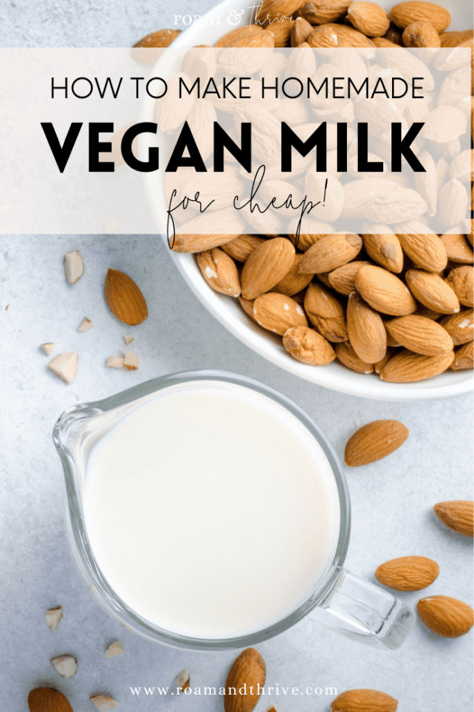 how to make homemade vegan Milk for cheap pin