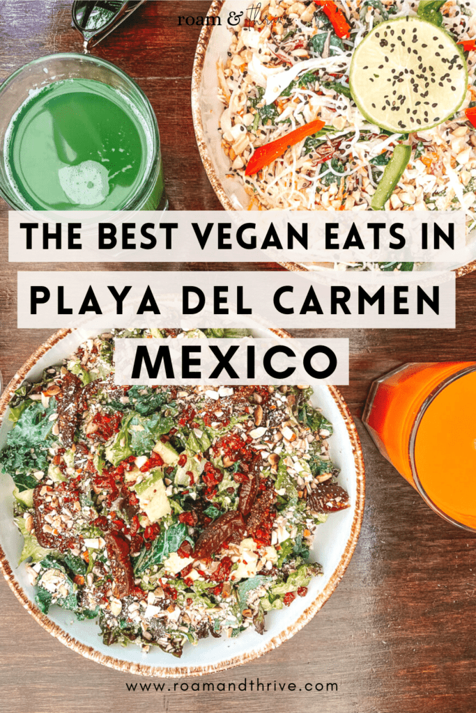 The best vegan eats in Playa del Carmen, Pinterest pin