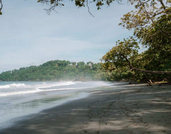 Manuel Antonio things to do