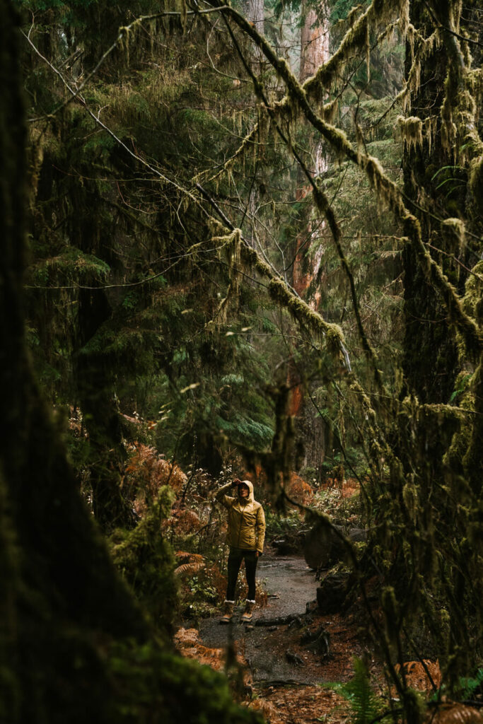 Hoh Rainforest- Olympic 2 day itinerary