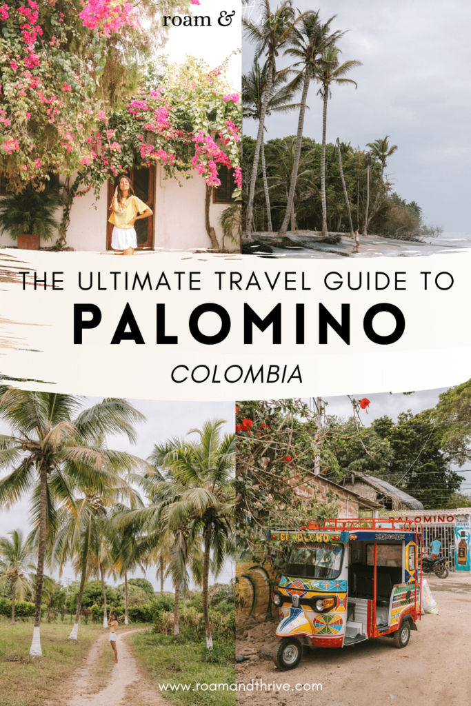 Travel guide to Palomino Colombia