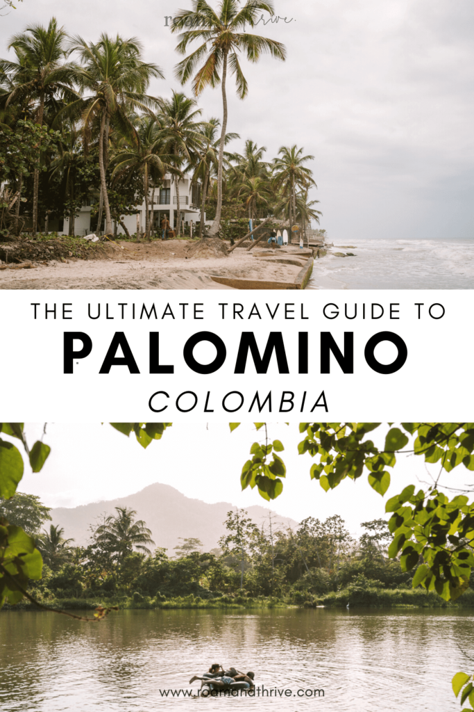 Travel guide to Palomino Colombia