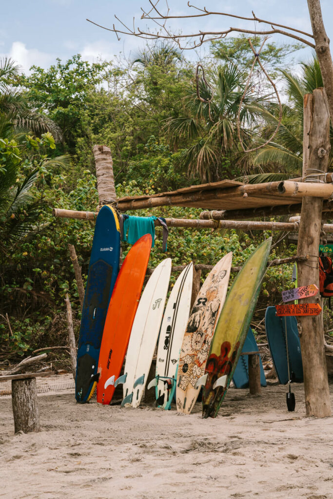 Surfboards on Palomino beach
