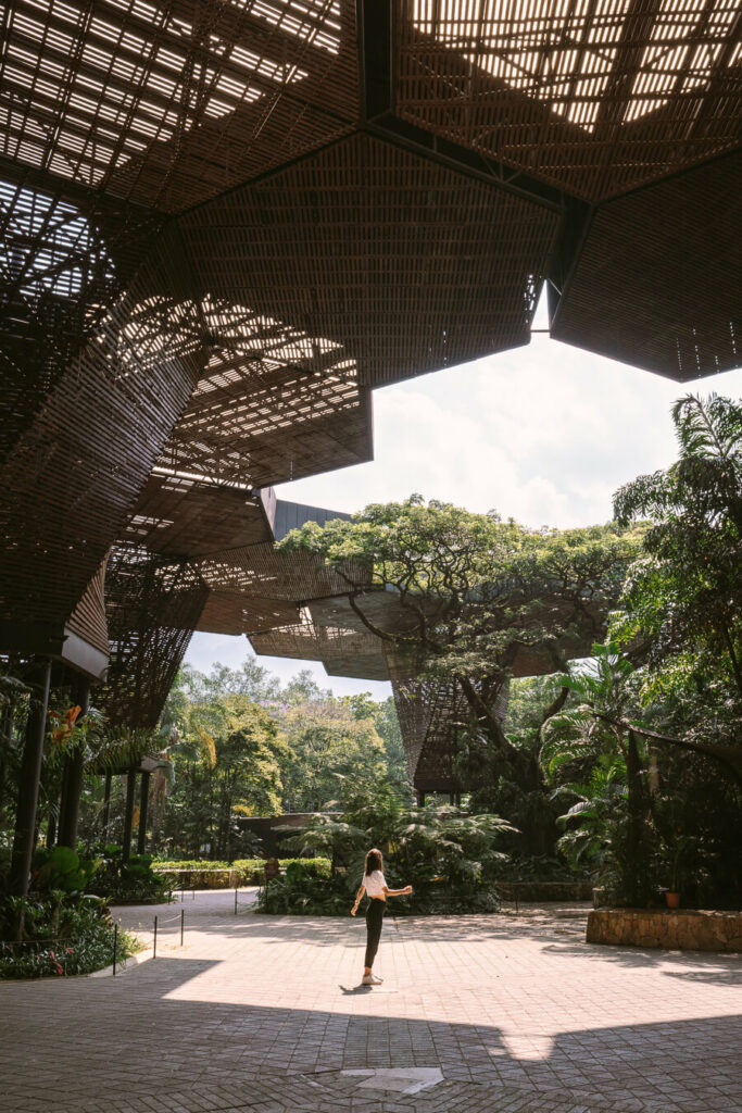 Visiting the Botanical Garden Medellin- best things to do in Medellin