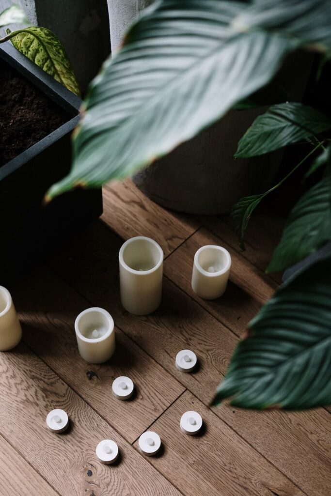 candles and plant