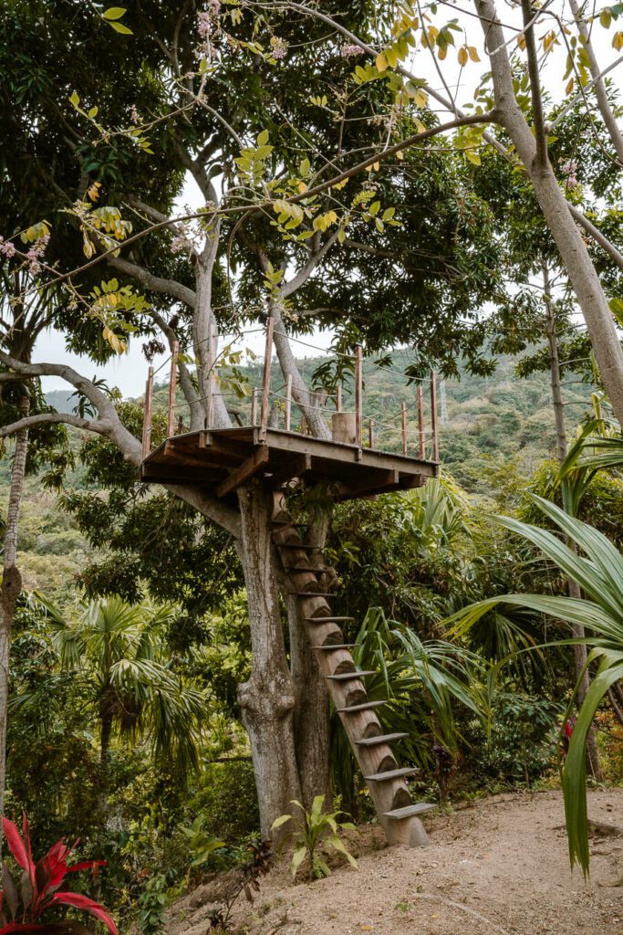 The Fort HOstel Colombia Tree HOuse