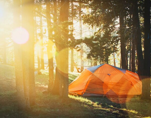 pitches tent in the forest- camping in the cotswolds