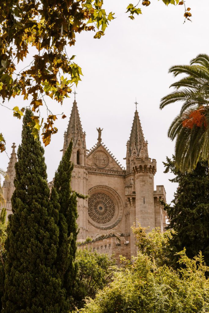 Palms cathedral one of the best attraction in Palma Mallorca