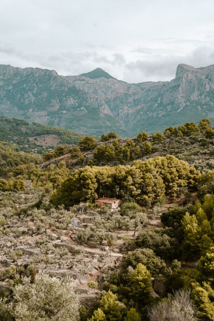 View of hills in Mallorca