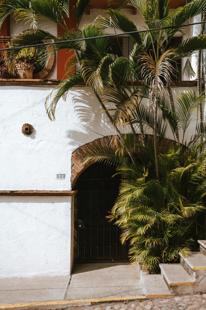 rustic building and palm in Puerto Vallarta Mexico