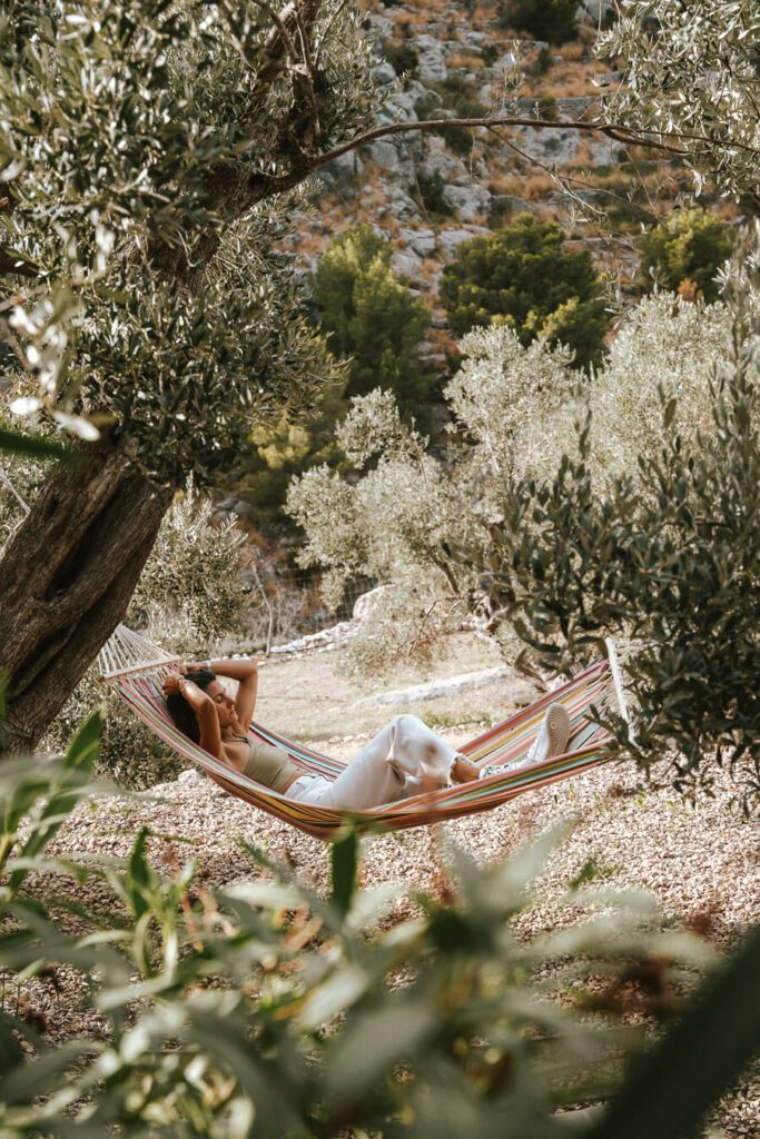 woman in a hammock surrounded by olive trees