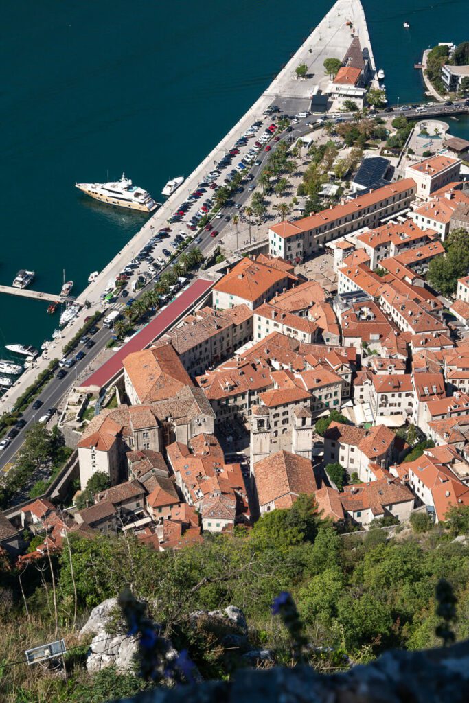 Kotor town from above
