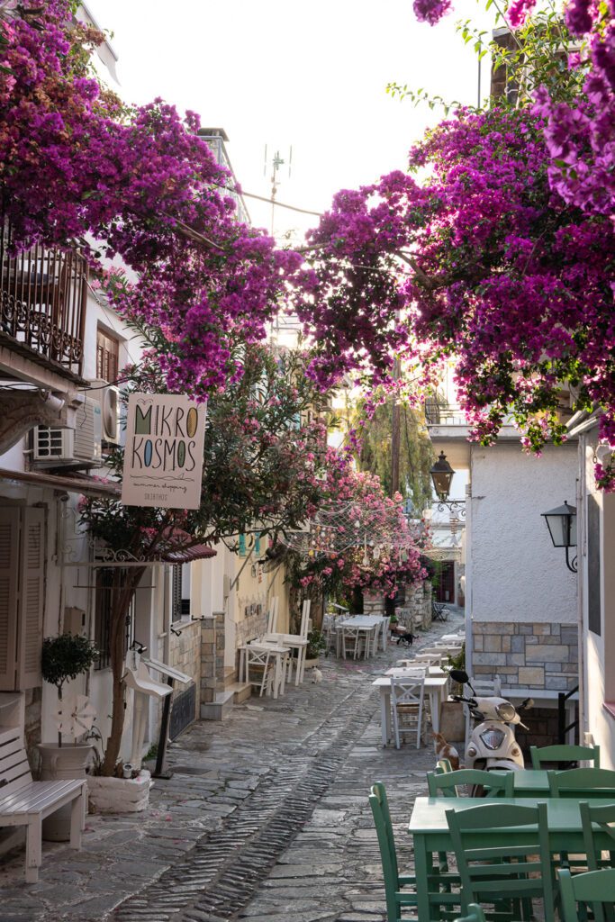 pretty street in Skiathos town Greece