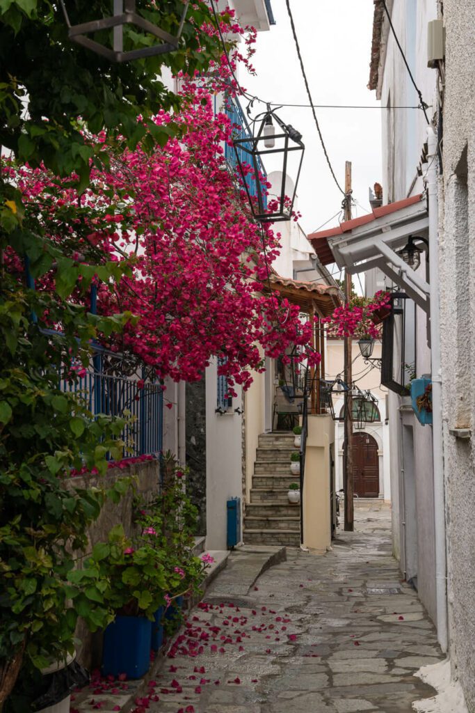 a narrow colorful street in Skiathos Greece