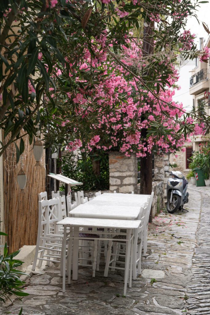 bougainvillea stone street in Skopelos