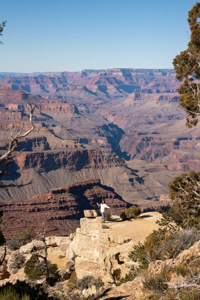 viewpoints of the grand canyon in winter
