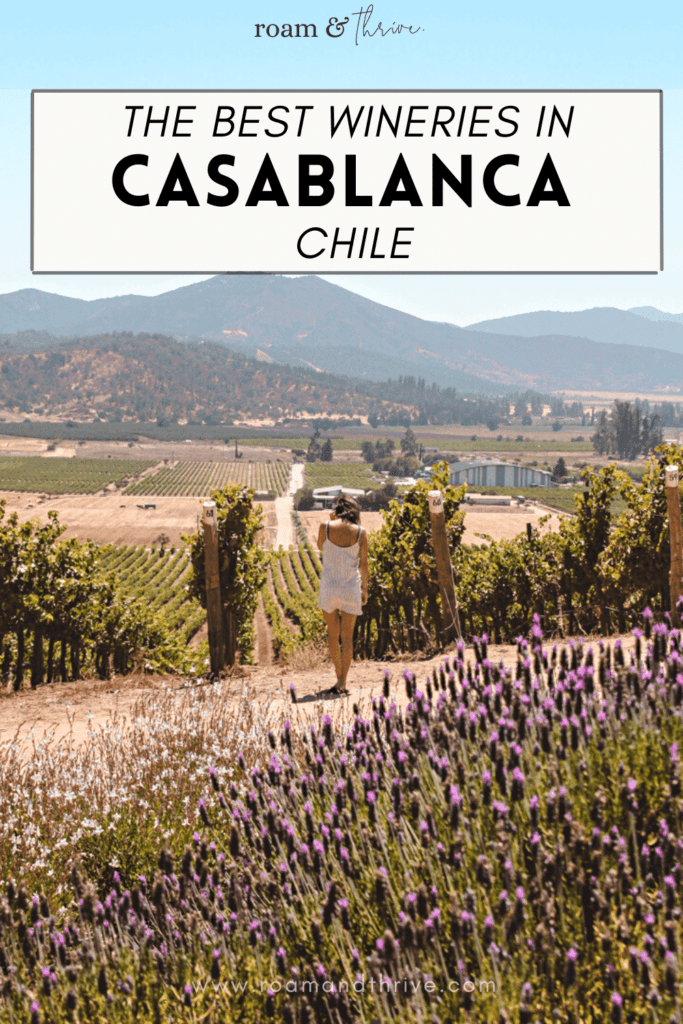 best Casablanca valley wineries