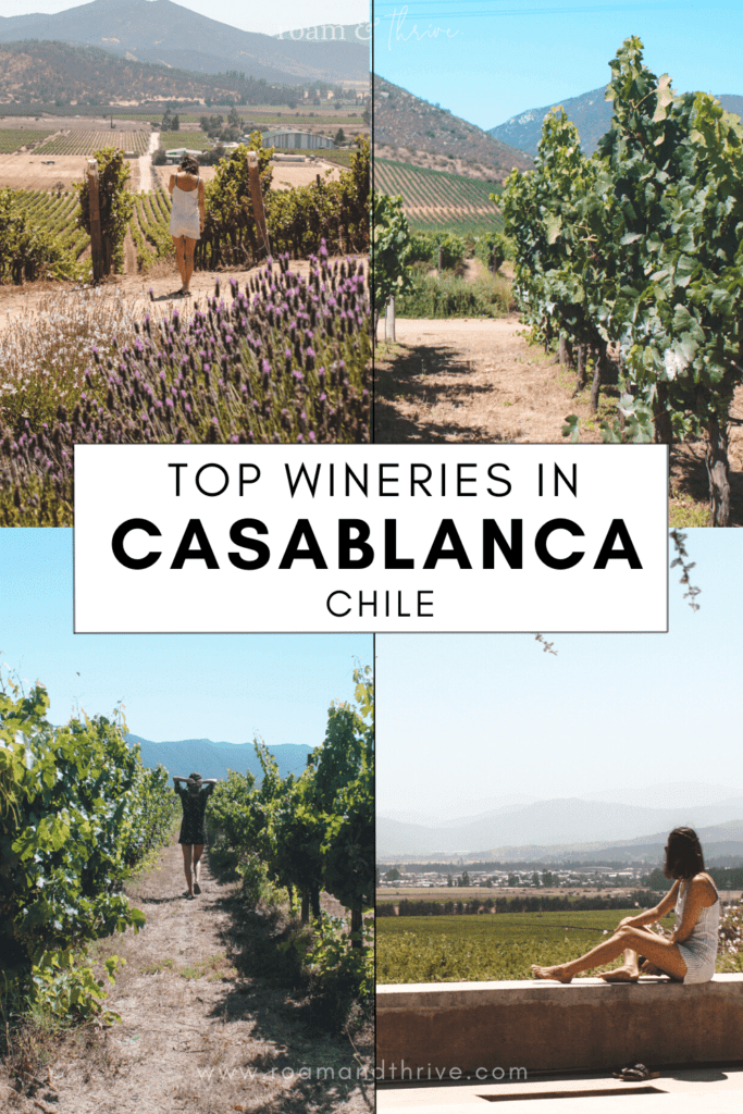 best Casablanca valley wineries