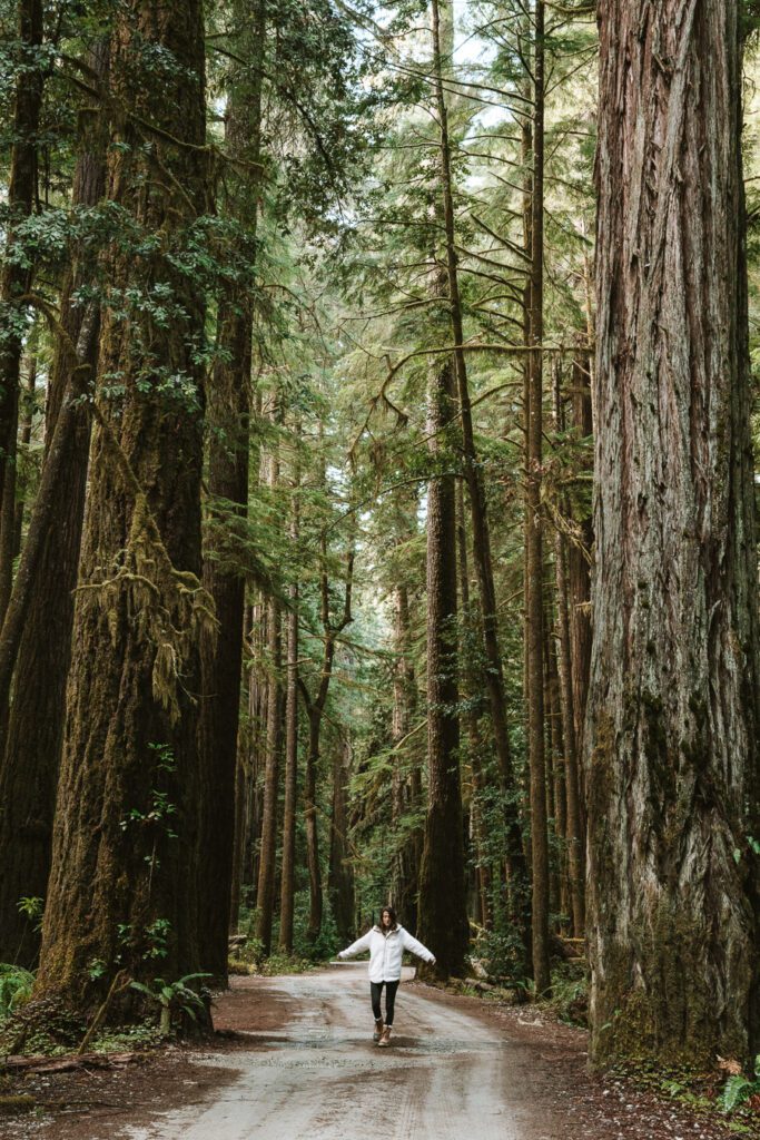 woman hiking in the redwoods