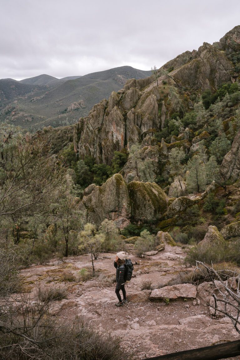 Hiking for Beginners: The Essential Guide & Top Tips