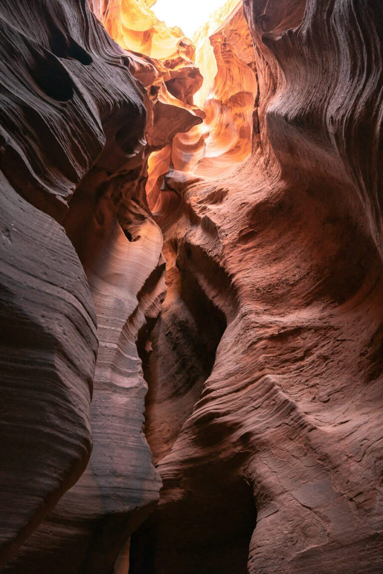 The Best Time To Visit Lower Antelope Canyon In 2024   DSC05461 768x1151 