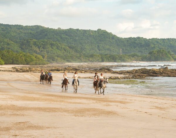 group horse riding on a beach in Costa Rica