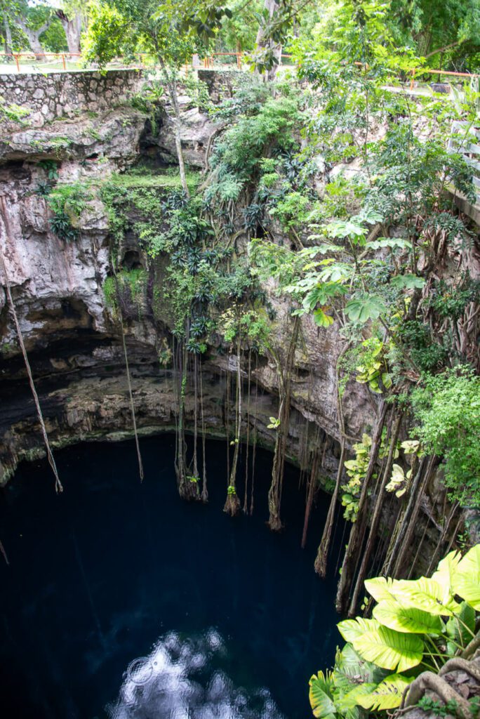 cenote oxman from above