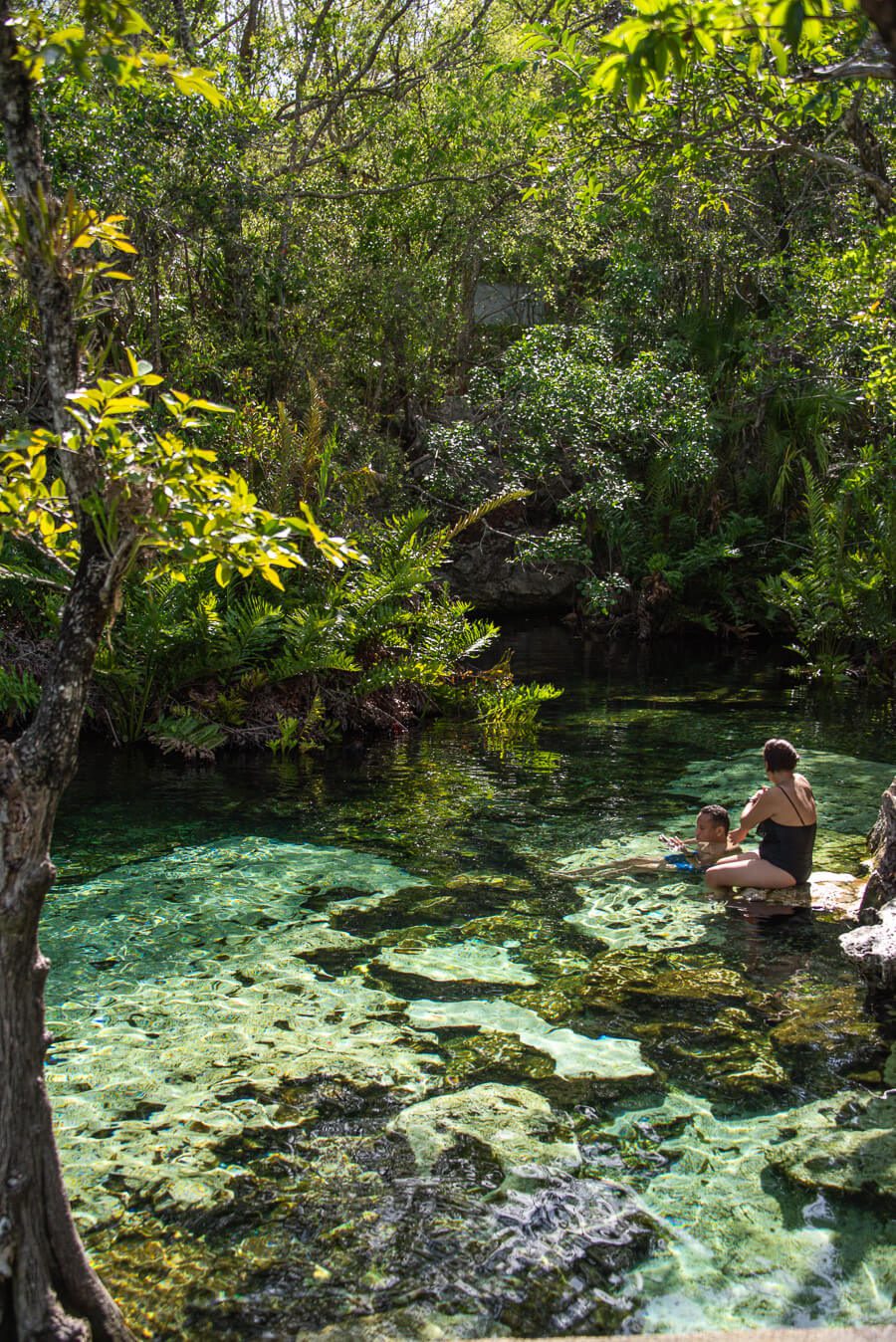 how to get to cenote azul from playa del carmen