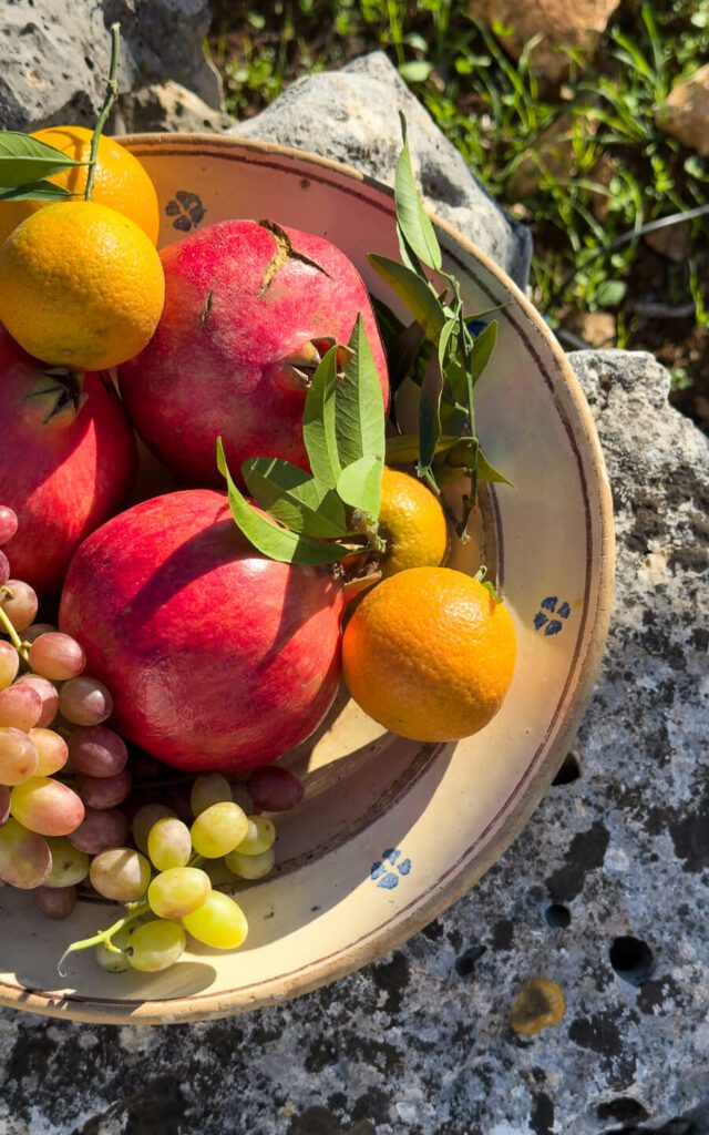 fruit bowl against rustic stone- high vibrational foods