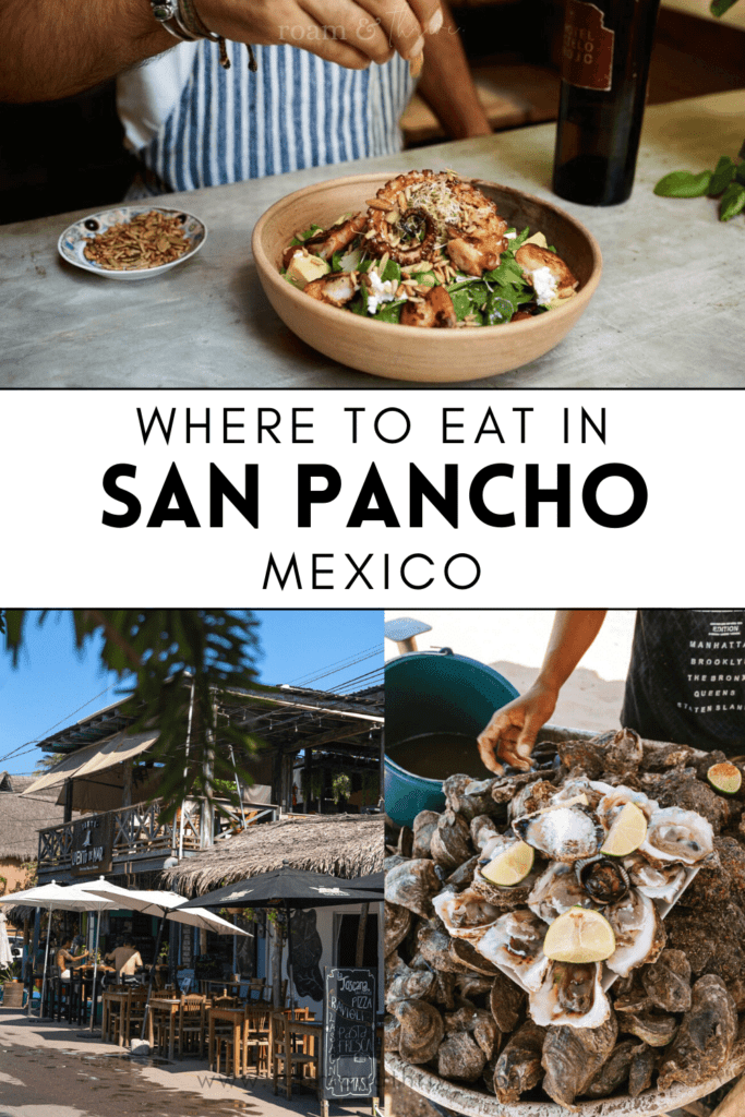 best restaurants in san pancho mexico