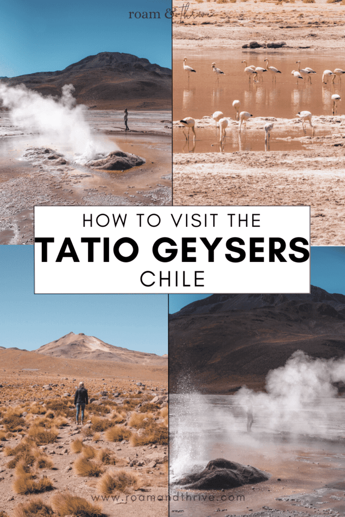 visiting the geyser del tatio chile