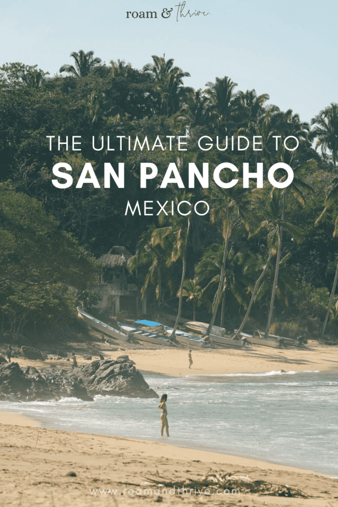 the insider's guide to san pancho mexico
