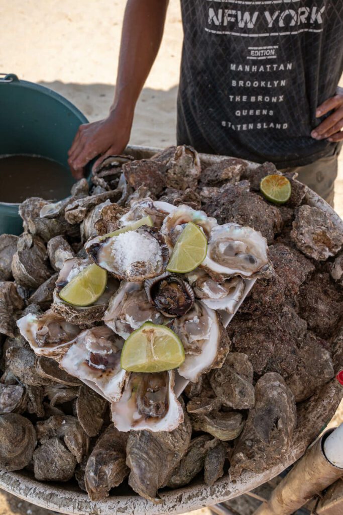 oysters on the beach in Mexico