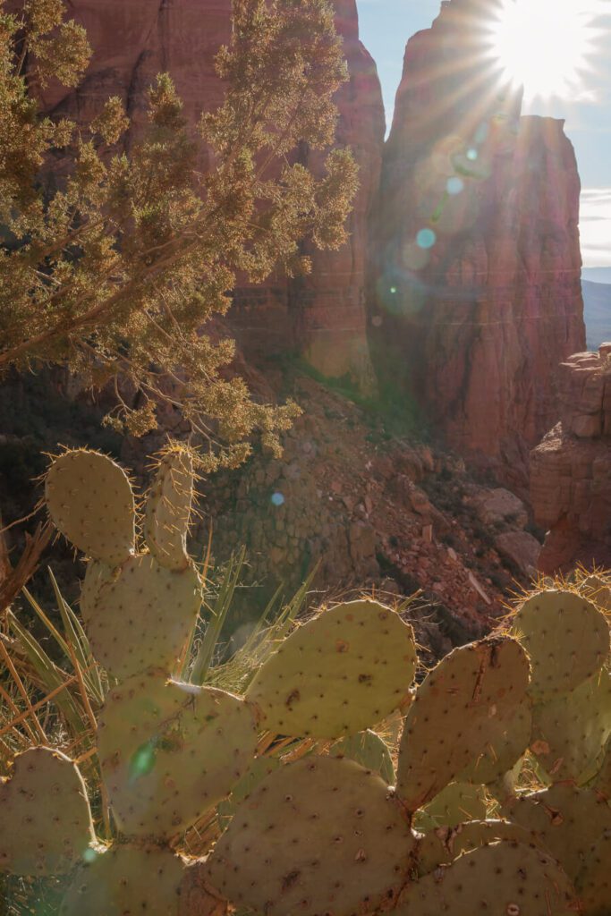 red rock scenery sedona arizona with cacti
