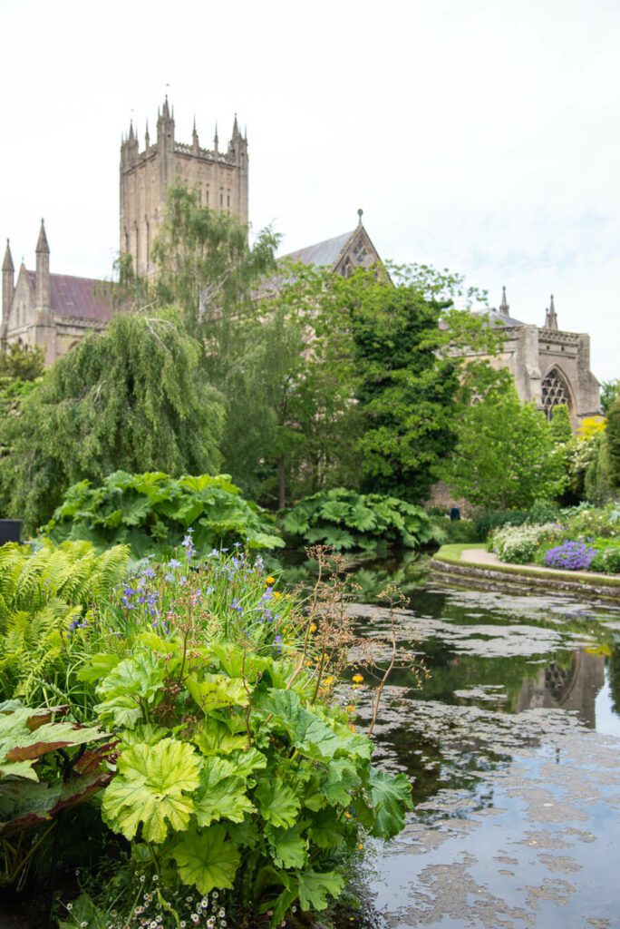 top things to do in wells somerset- bishop's palace and gardens