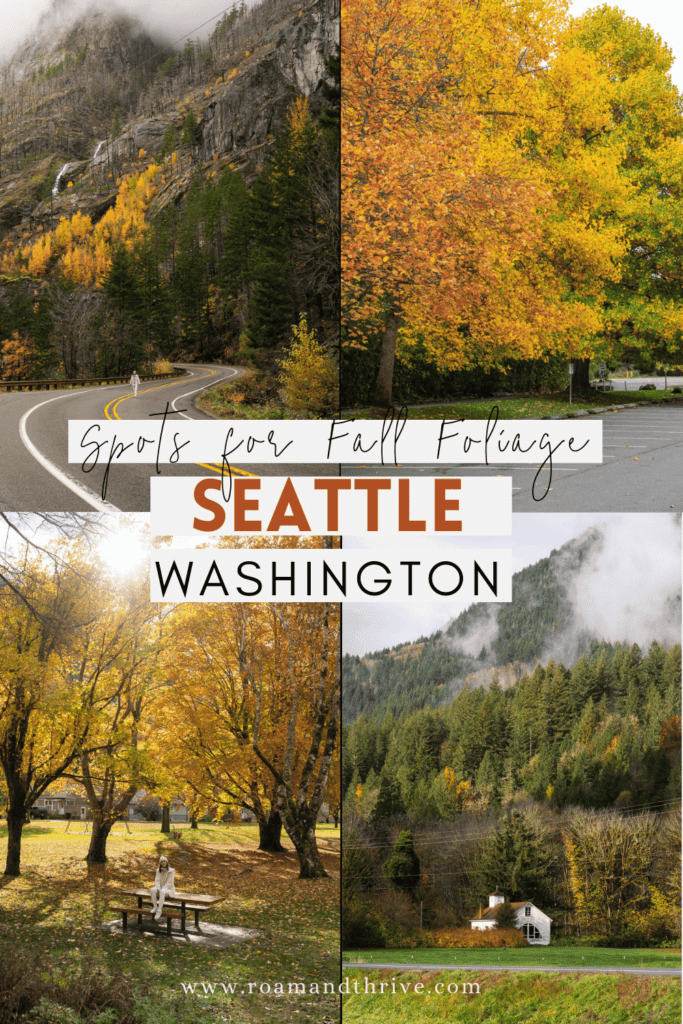 where to see fall foliage in seattle