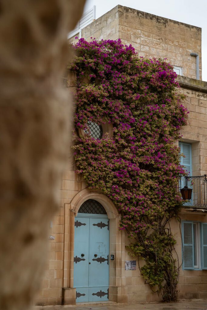 facades of Mdina during a malta itinerary