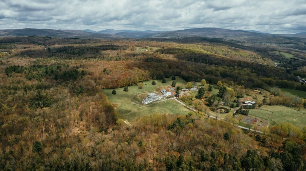 hemlock neversink from above