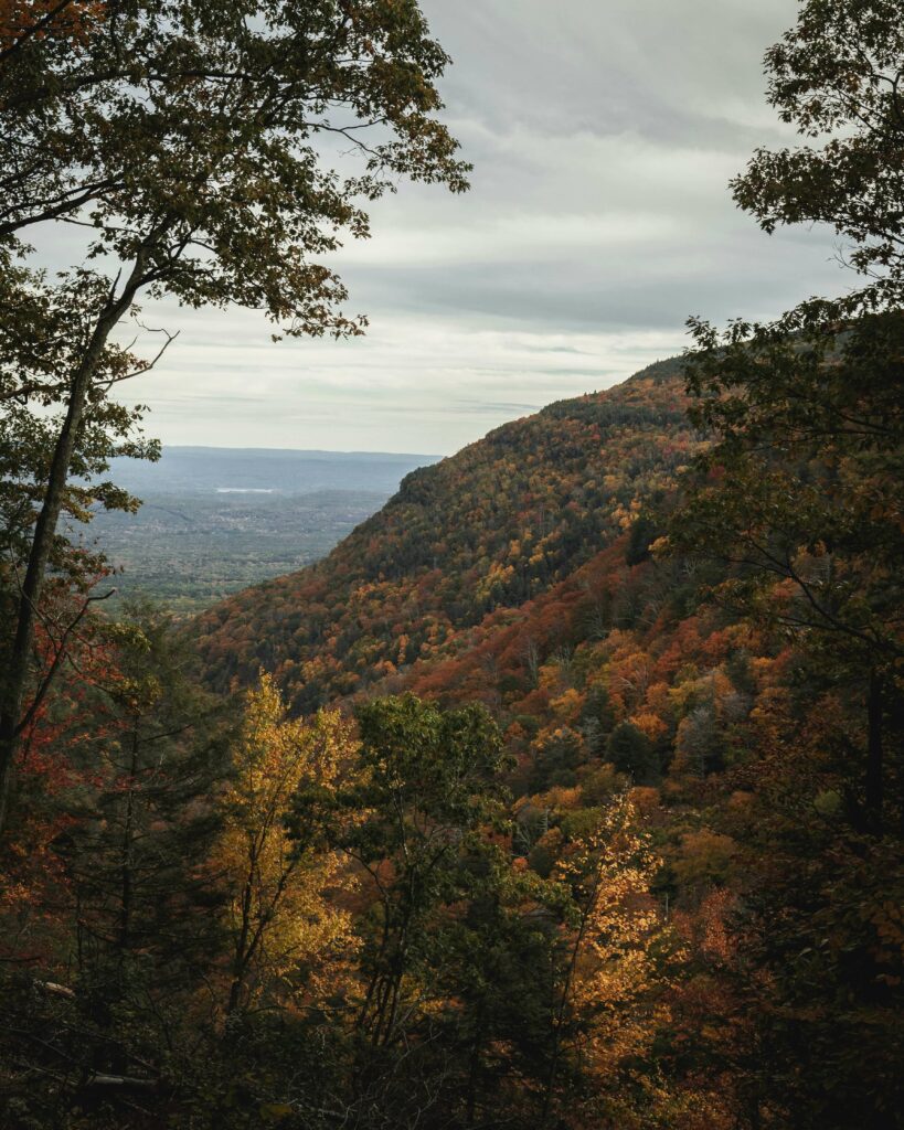 Catskills mountains in fall