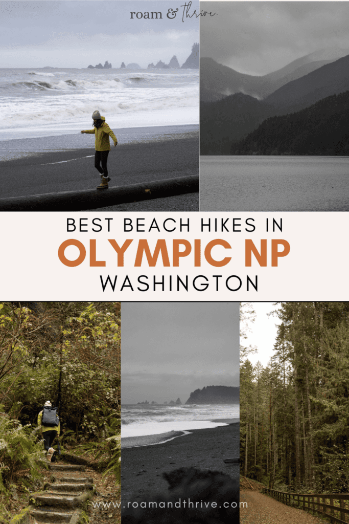 best beach hikes in Olympic National Park