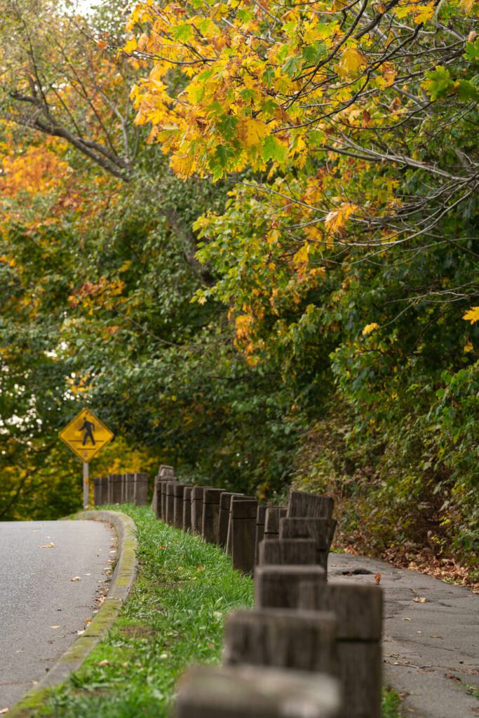 discovery park in the fall in seattle